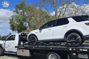 سطحة جدة أبحر